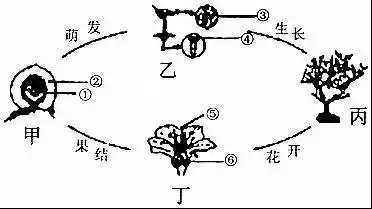 请根据所学知识回答问