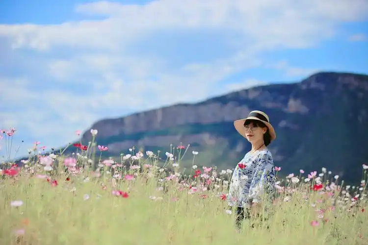 我们拍山水拍花草拍生活其实就是拍自己拍自己对生活的一种热爱风景和