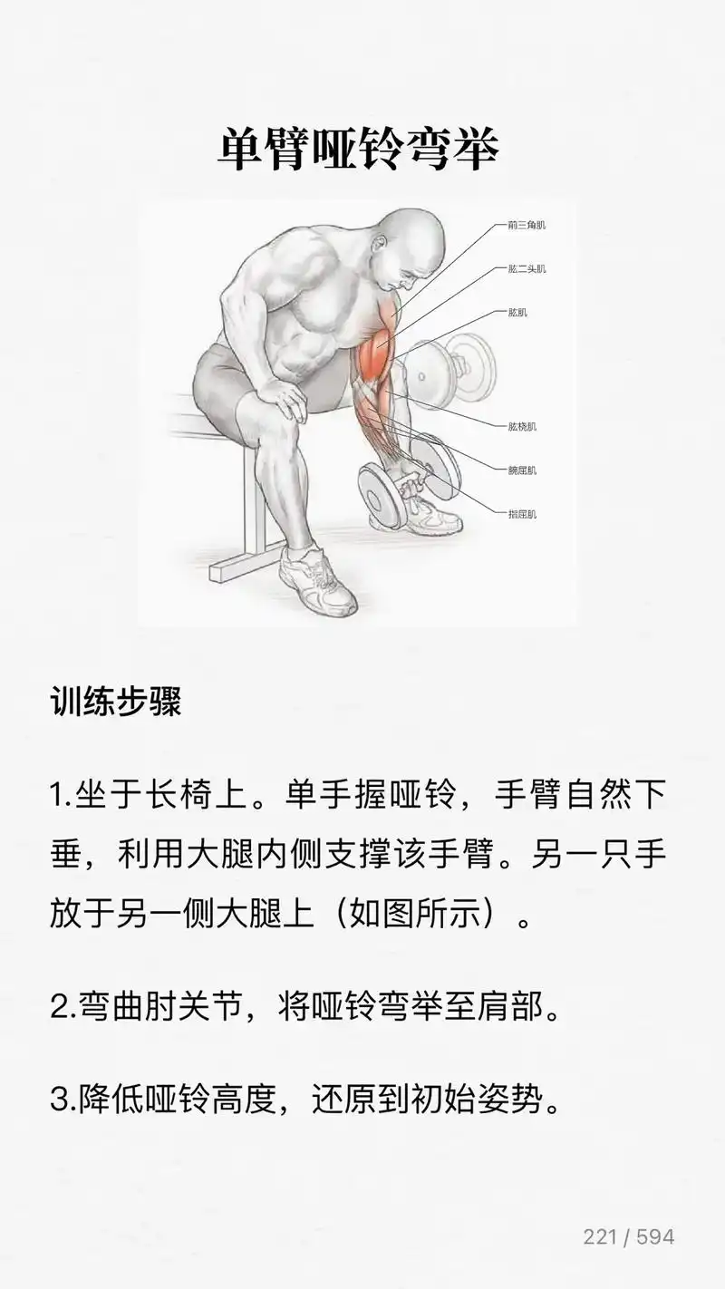 单臂哑铃弯举  训练步骤 1.坐于长椅上.单手握哑铃,手臂自 - 抖音