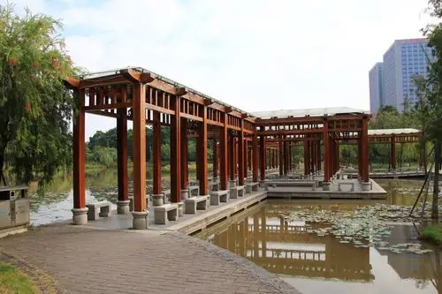 佛山大沥九龙公园