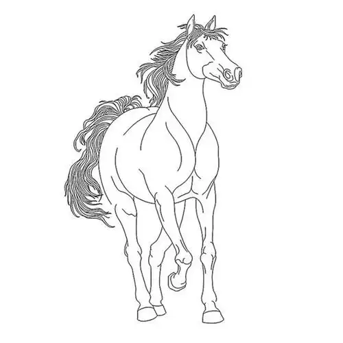 白描花鸟之乾马篇