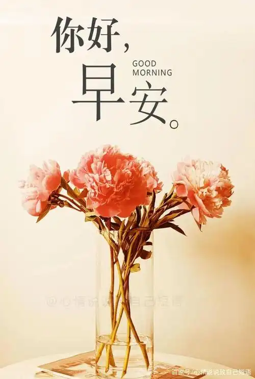 心情好的早安图片唯美句子,清晨早安说说心情短语