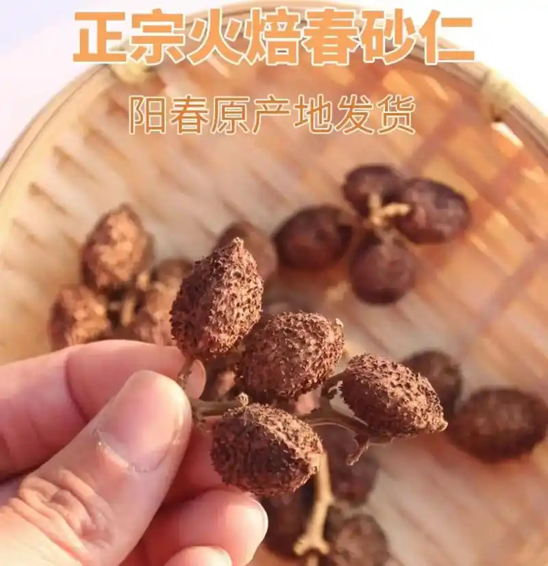春砂仁为姜科植物阳春砂的果实,主产中国广东阳春.它在 - 抖音
