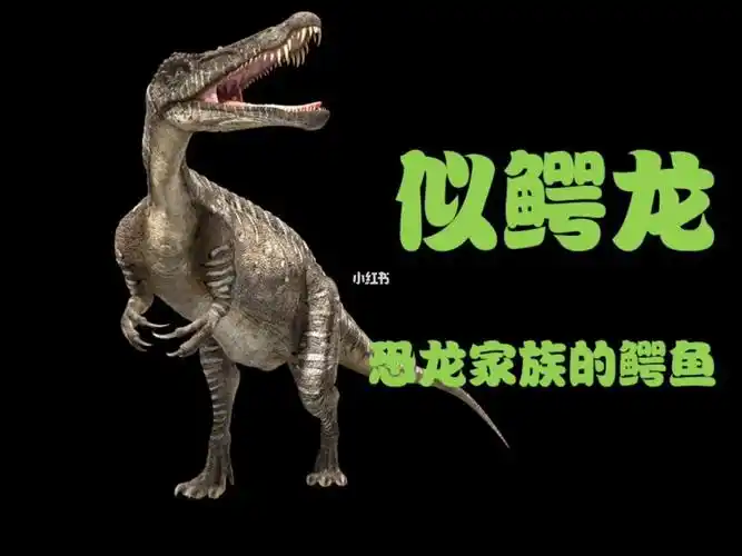 恐龙丨似鳄龙恐龙家族的鳄鱼