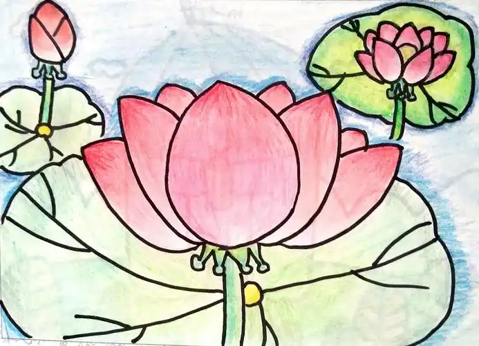 18-19下学期冯井中小五年级优秀绘画作品集