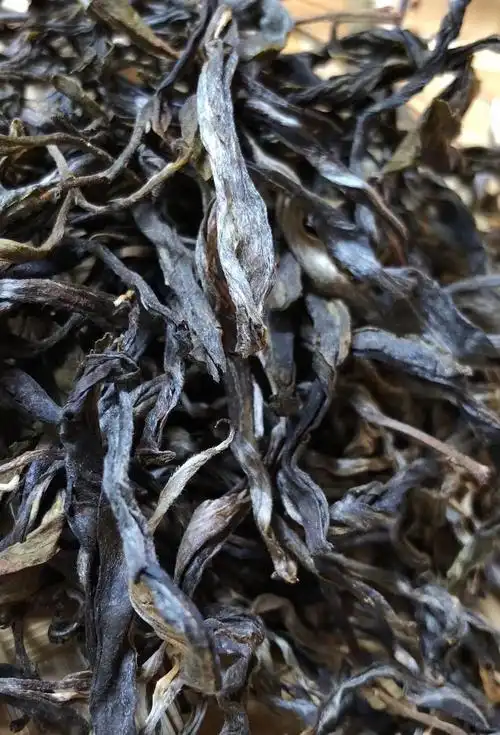南糯山古树茶