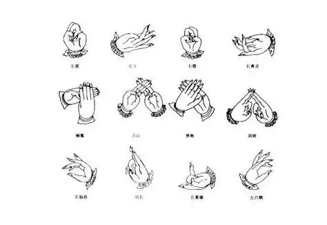 道家修行手决手印图解道指三清指图解鉴赏