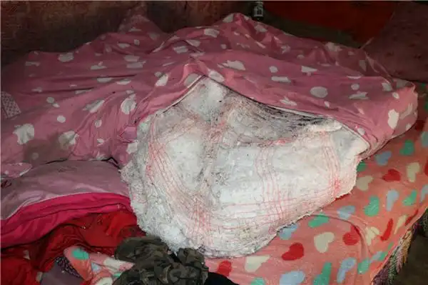 花样盛年慈善基金会