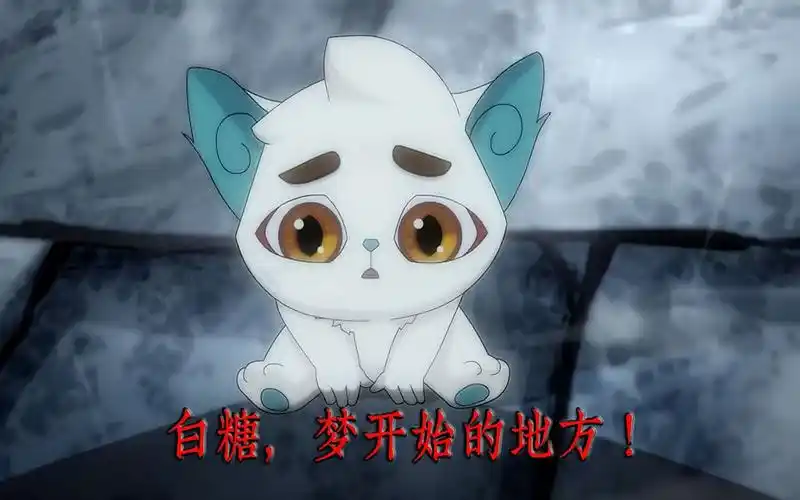 京剧猫相遇白糖梦开始的地方