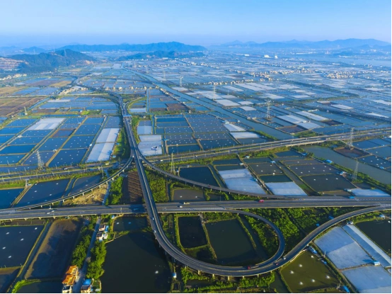 广东省特色水产养殖示范镇珠海市斗门区白蕉镇