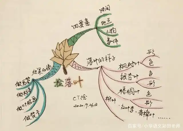 二年级上册第二单元考卷看图写话《捡落叶》,(范文 思维导图)