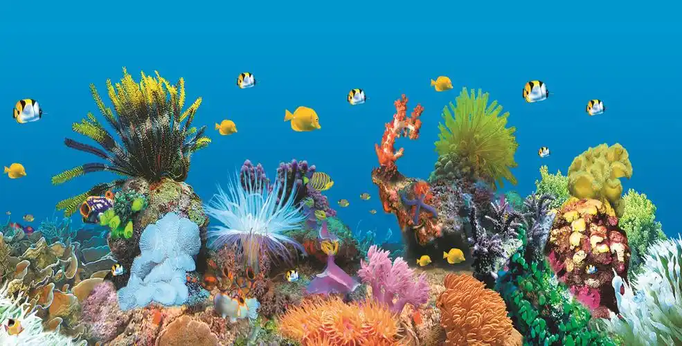 彩色印制宽幅鱼缸双面画海景画背景画蓝黑卷轴画静电膜贴画