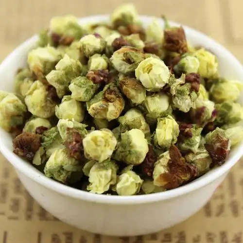 白梅花 正品 绿萼梅 绿萼梅 绿梅花