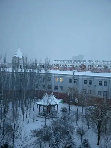 内蒙古自治区巴彦淖尔市乌拉特前旗振兴大街靠近大众村镇银行