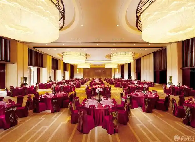 酒店宴会厅大厅吊顶装修设计图片_设计456装修效果图