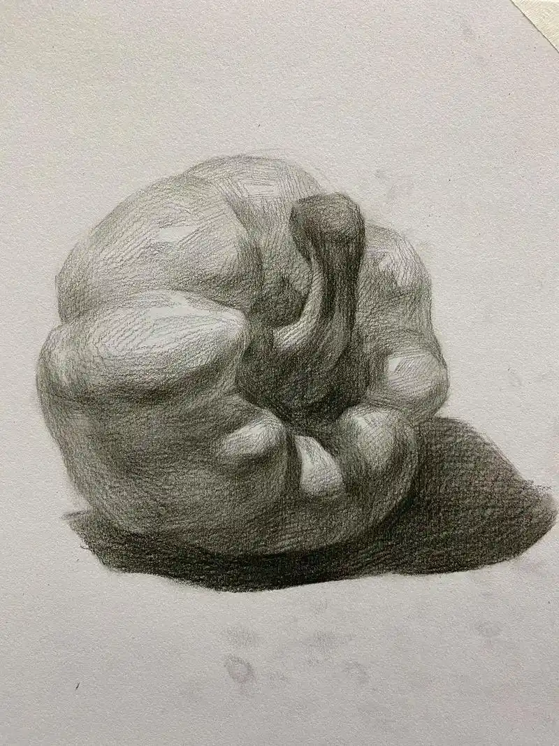 素描静物黄色青椒单体.#美术生 #零基础学画画 #画画 #每 - 抖音