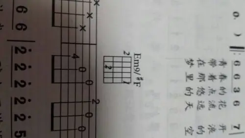 最近吉他老师教了我吉他谱《青春》,可是和弦em/#f g/d em9/#f的指法