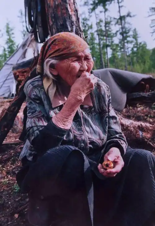 鹿王的哭泣——中国最后一个狩猎部落现在怎么样了?|驯鹿|鄂伦春|鄂温