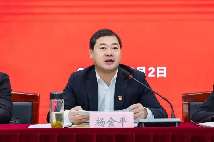 新埭镇党委书记杨金平首先宣讲了党的十九届六中全会精神,并强调全镇