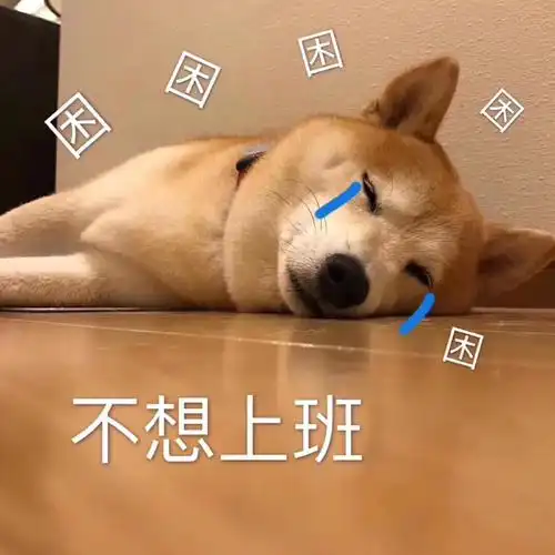 2020包情表 第四期(柴犬表情包)