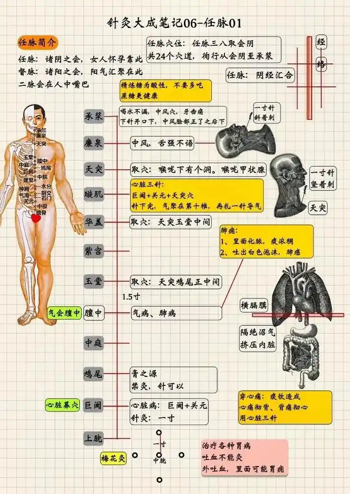 任脉穴位治症汇总.#中医 #养生 #扎针 "同身寸"来找任脉 - 抖音