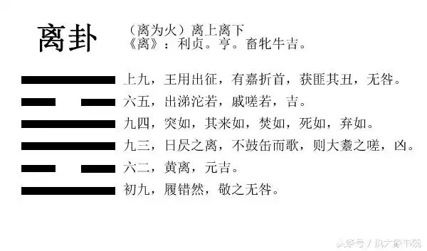 易经心解第三十卦离离为火离上离下