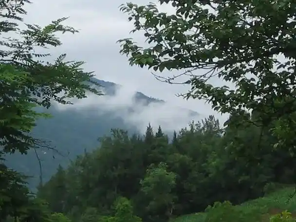 在那个遥远的小山村,湖北省恩施市巴东县某镇某乡某 - 抖音