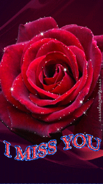 gif# #鲜花# #玫瑰# 灬铃兰灬采集