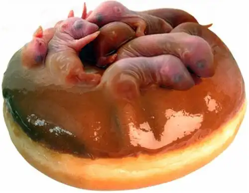 饮食界的满清酷刑 看完令人头皮发麻的中国十大禁菜