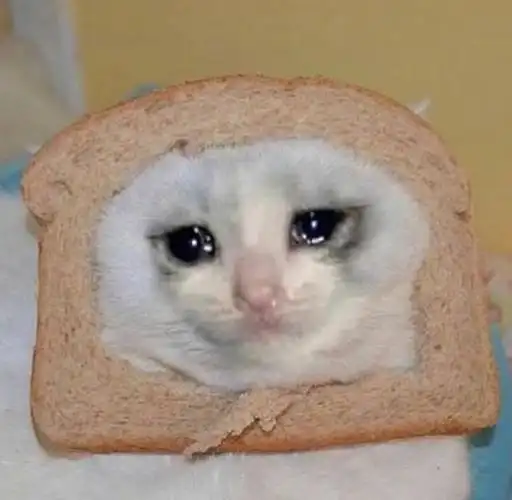 流泪喵咪 - 流泪猫猫头表情包