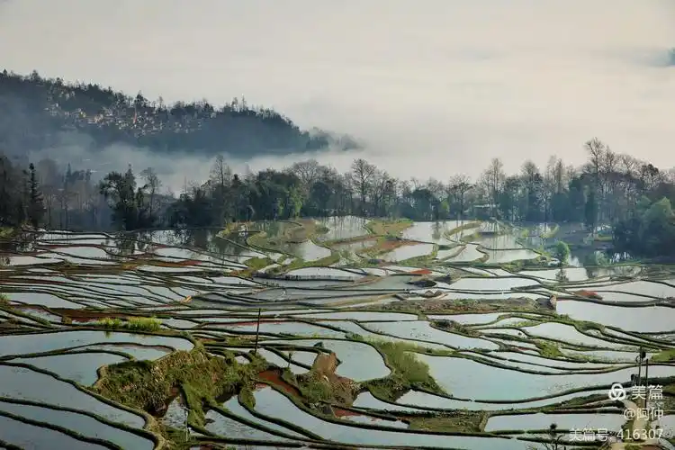 有梯田的云南箐口村