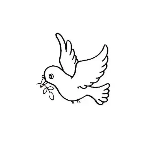 鸽子简笔画 - 简单简笔画