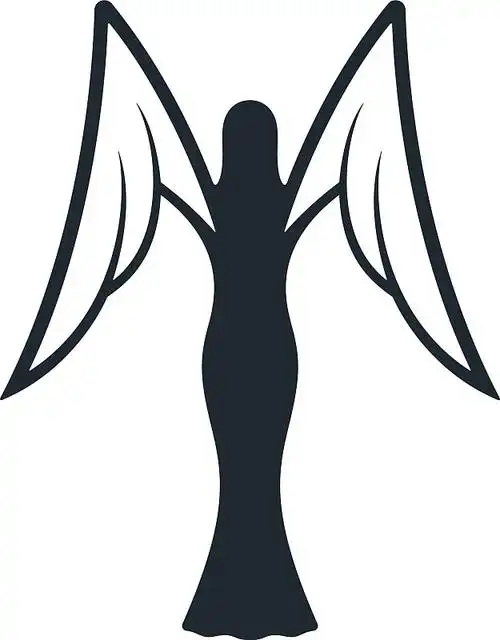 黑色天使与白色翅膀的图标图片