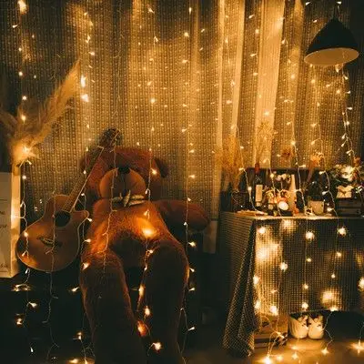 网红窗帘灯彩灯串灯闪灯浪漫直播间背景装饰ins房间卧室布置灯.