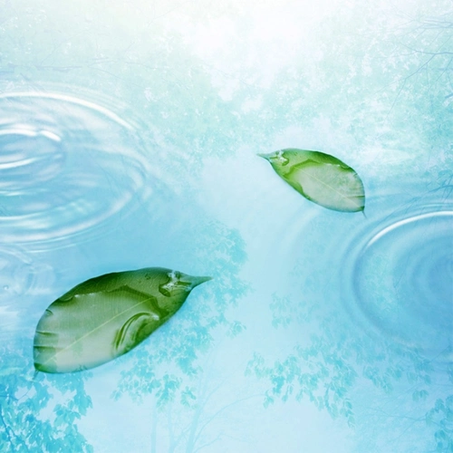 绿色自然 清新淡雅 文艺 简约 风景 (10)