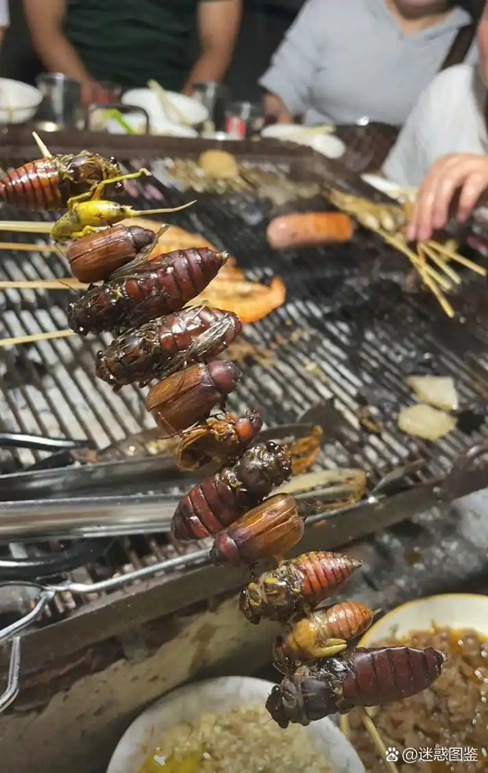 蟑螂都吃,他们是怎么啃的下去?