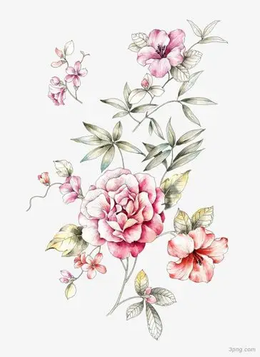 水彩花卉手绘png素材透明免抠图片装饰效果