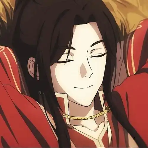 17天官赐福花城头像