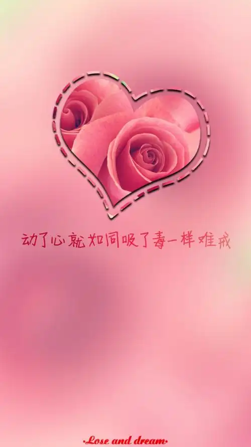 文字- 堆糖,美图壁纸兴趣社区