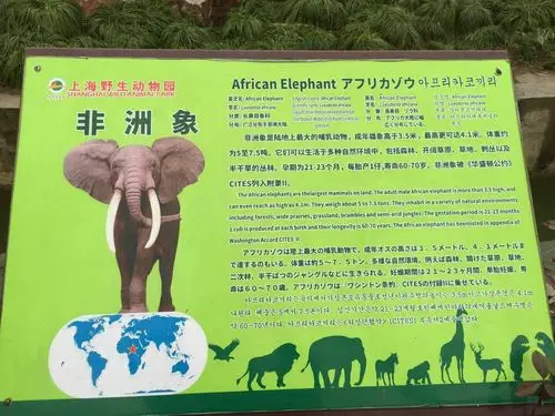 上海野生动物园一日游 - 美篇