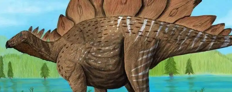 stegosaurus是什么恐龙