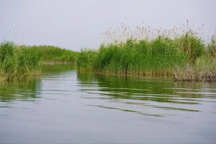 和硕县金沙滩2020-6-17