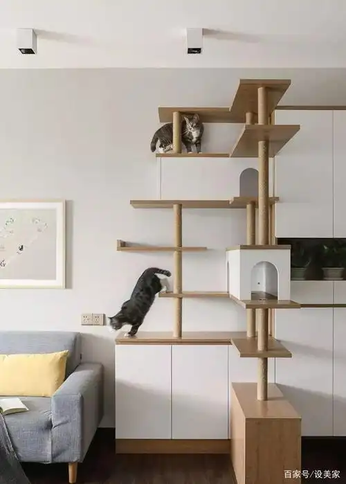 家里养猫,装修时需要注意什么?