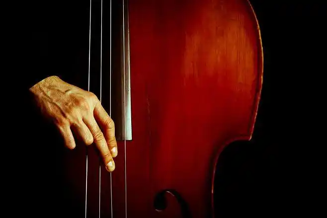 vintage double bass by alexandru barbu on 500px