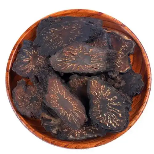 阿拉善肉苁蓉切片整枝油苁蓉