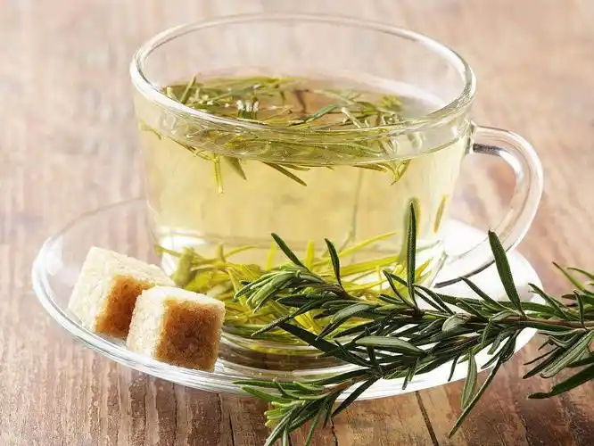 饮用迷迭香茶禁忌_茶叶品牌排行榜缩略图