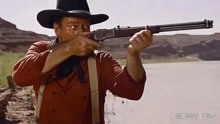 深入剖析《搜索者》:一部经典西部片的赏析