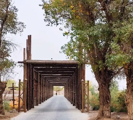 巴楚县红海景区
