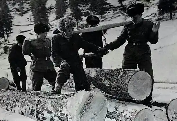 文化森工林区往事东北林区号子