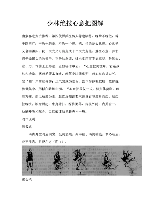 少林绝技心意把图解w.doc